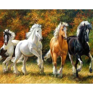 MT Majami Diamond Painting DIY 5D Diamantmalerei Pferde Herde 30x40 cm Gemälde Wanddekoration Freizeitspaß Erwachsene Jugendliche romantic Diamant