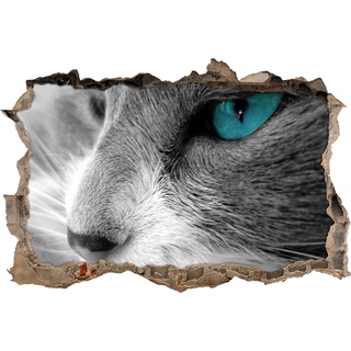 Pixxprint 3D_WD_5105_62x42 Bezaubernde Katze mit blauen Augen Wanddurchbruch 3D Wandtattoo, Vinyl, schwarz / weiß, 62 x 42 x 0,02 cm