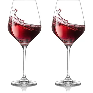 CIYIN Weingläser Plastik, 2 Stück Rotweingläser 420 ml, Tritan-Kunststoff Weinglaeser, Bruchsicher Camping Weingläser, für Hochzeit, Geburtstage, Party, Camp