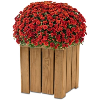 Coemo Blumenkasten Holz Riga klein - Pflanzkübel aus Holz Pflanzkasten Kräuterbeet - Blumenkübel für draussen - Blumen Kräuter Gemüse Obst- Alles für den Balkon, Terrasse und vielem mehr