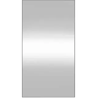 vidaXL Wandspiegel 50 x 100 cm Grau
