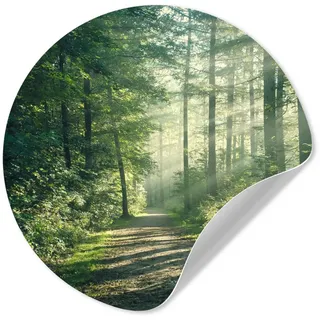 MuchoWow Wandsticker Wald - Weg - Sonne - Bäume - Grün - Natur (1 St), Wanddeko Wohnzimmer Schlafzimmer Wandverkleidung, 50x50 cm bunt 50 cm x 50 cm x 0.1 cm
