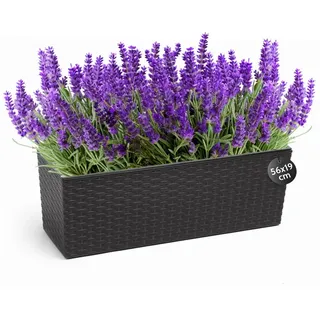 KONZEPT Balkonkasten Hochwertige Blumenkasten Rattan-Optikin, rechteckig 56 x 19 cm, Balkonkasten ideal fur Balkon, Terrasse, Fensterbank schwarz