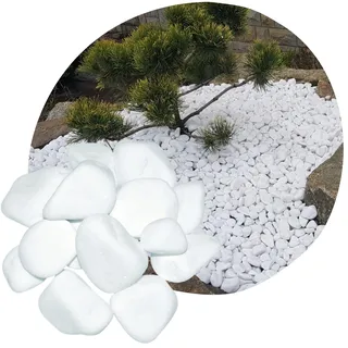 Weiße Kieselsteine 20 kg – Schneeweiße Dekosteine 8–13 cm – Thassos | Für Gartendeko, Wege, Blumentöpfe und Innenbereiche – dekorative Natursteine in schneeweißer Optik.