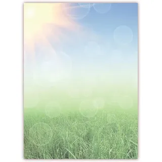 LYSCO Motivpapier Briefpapier (Wiese-5168, DIN A4, 25 Blatt) - blauer Himmel strahlender Sonne und frische grüne Wiese
