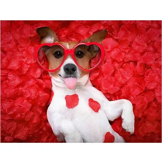 YSCOLOR Diamant Painting Diy Diamant Malerei Jack Russell Terrier Hund Voller Runder Diamant Strass Erwachsene Malen Nach Zahlen Malen Art Kit Home Wall Decor 30x40cm