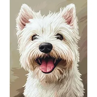 Wallphantom West Highland White Terrier malen nach zahlen anfänger erwachsene,Tier weißer Hund,Paint by Numbers,Handgemalt Ölgemälde Leinwand Bastelset für Geschenk,40x50cm mit Rahmen