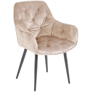Riess-Ambiente Esszimmerstuhl Chesterfield Samt beige/schwarz