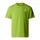 Meadow Grass L