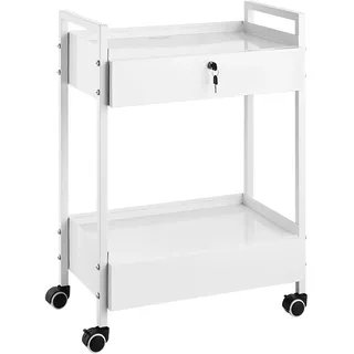 VEVOR Laborwagen, 2-stöckiger Allzweckwagen aus Edelstahl, Medizinwagen mit 2 Schubladen, Rollbarer Laborwagen, Weiß Servierwagen mit Lenkrollen für Labor, Krankenhaus, Zahnarztpraxis, Salon usw.