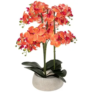 Atmosphera Créateur d'intérieur Künstliche Orchidee in mehrfarben | Gr.: onesize
