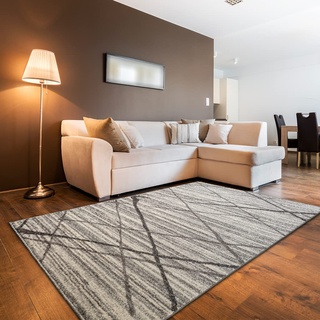 oKu-Tex Designer Teppich, Wohnzimmerteppich Mercur, Flauschiger Frise-Teppich grau meliert, modernes diagonales Design, 160 x 230 cm, Schadstofffrei nach Öko-Tex Standard 100
