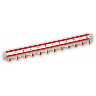 Burg Wächter HLW 12 Schlüsselleiste, 12 Haken, Tiefe 380mm (10550)