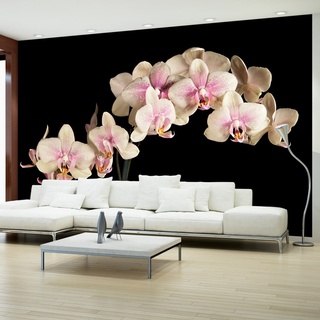 Fototapete - Blühende Orchideen auf dunklem Hintergrund