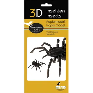 Fridolin 11605 3D-Papiermodell - Vogelspinne