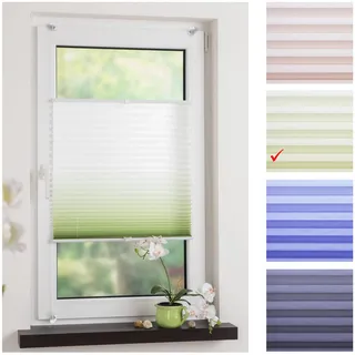 Liedeco® Klemmfix Plissee Farbverlauf verspannt inkl. Klemmträger/Breite x Höhe: 75x130 cm/Farbe: Grün/Plissee farbig/lichtdurchlässig verstellbar/Innen-Montage ohne Bohren / 123 montiert