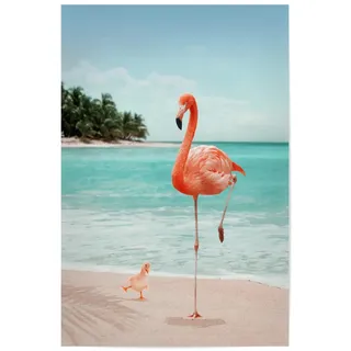 artboxONE Poster 60x40 cm Flamingo Tiere Wannabe Flamingo hochwertiger Design Kunstdruck - Bild Flamingo Flamingo sea