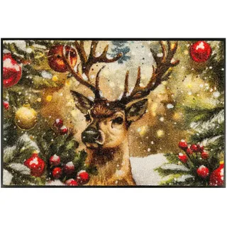 Wash+Dry Festive Spirit 50 x 75 cm Bunt
