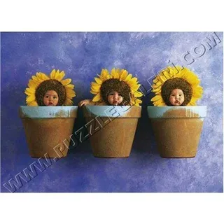 Schmidt Spiele 57948 - Anne Geddes, Sonnenblumen-Trio, 1000 Teile Puzzle