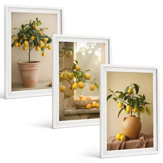 BILDER SET 3er Set - 40x60 cm Weißer Rahmen - Zitronenbäume im Topf