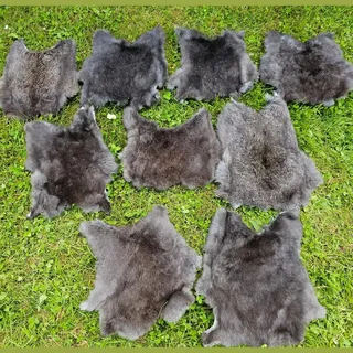 Provellus Kaninchen Felle Kaninchenfell viele Natur Farben TOP Gerbung (Dunkel, 1 Stück 1.Wahl)