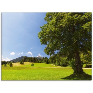 Artland Glasbild »Bayrische Landschaft«, Wiesen & Bäume (1 St), in verschiedenen Größen grün 60 cm x 45 cm