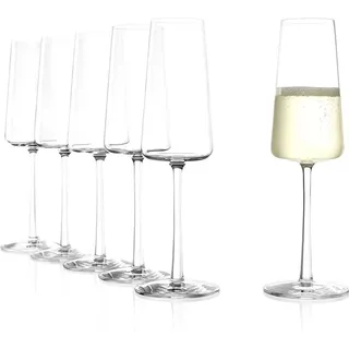 Stölzle Power Champagnerglas 0,24 l 6er Set