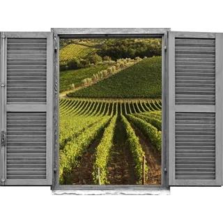 queence Wandtattoo Weinberg (1 St), Wandsticker, Wandbild, selbstklebend, 3D, Fenster grün