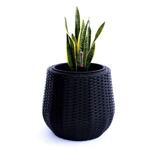 Elegant Einrichten Pflanzkübel Pflanzkübel Polyrattan Rund-Konisch D52xH44cm Schwarz (1 St) schwarz