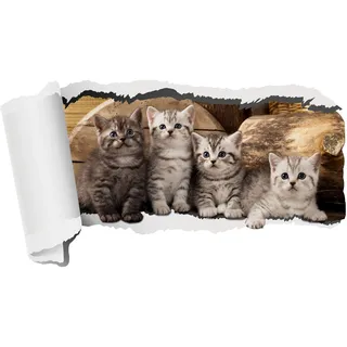 GRAZDesign Wandtattoo Katzen, Kleine Katzen, Babykatzen, Wandaufkleber für Wohnzimmer Kinderzimmer Tapete selbstklebend (55x30cm)