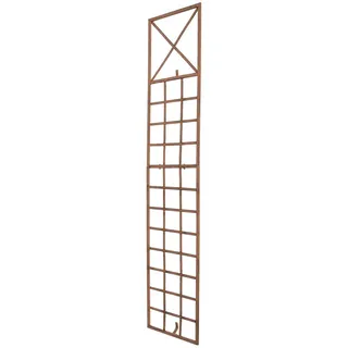 CLP Rankgitter Trigo 200 x 40 cm Antik Braun