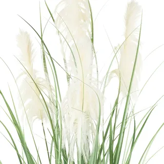 CREATIV green künstliche Pflanze Pampasgras, ca 210cm