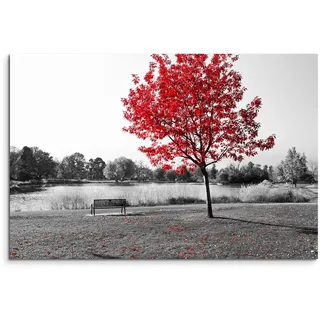 Paul Sinus Art 120x80cm Leinwandbild auf Keilrahmen Park Bank Teich schwarz weiß Baum rote Blätter Wandbild auf Leinwand als Panorama