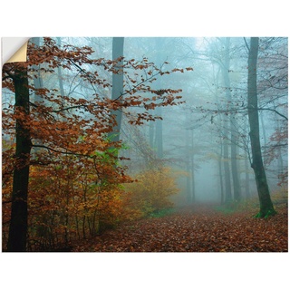 Artland Wandbild Nebel im Herbstwald, Wald (1 St), als Leinwandbild, Poster, Wandaufkleber in verschied. Größen braun 60 cm x 45 cm