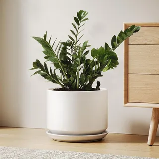 LE TAUCI Blumentopfe Keramik, 25 cm, mit Untersetzer & Drainageloch, Weiß | Übertopf für Zimmerpflanzen, Blumentopf mit Integrierter Untersetzer, Drainagelöchern, Pflanztopf Set für Wohnzimmer & Büro