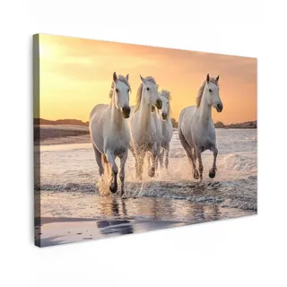 MuchoWow© Leinwand Bilder, Einzigartige Wanddeko mit Rahmen, Pferde | 120x80 cm - Sonne - Meer - Strand - Tiere, Wandbilder Wohnzimmer, Deko Schlafzimmer