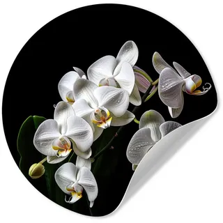 MuchoWow Wandsticker Orchidee - Blumen - Weiß - Natur - Schwarz (1 St), Runde Aufkleber für Kinderzimmer, Selbstklebend, 120x120 cm bunt 120 cm x 120 cm x 0.1 cm