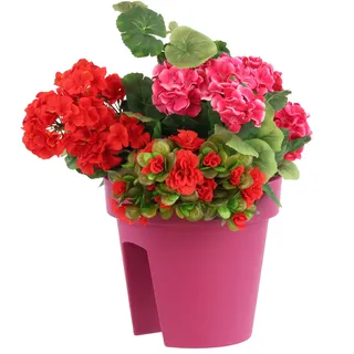 botle Balkonkiste Blumenkasten Geländerkasten Balkonkasten Geländertopf 24,5 cm | 5 L Fuchsia Balkon-Blumenkasten oval