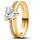 Doppelband Herz Ring 163100C01