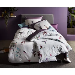 Bettwaesche-mit-Stil Mako Satin Wende Bettwäsche Kolibri Vögel - Kissenbezug 40x40 cm - 100% Baumwolle