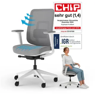 Ergotopia Bürostuhl PureBack ergonomischer Schreibtischstuhl grau