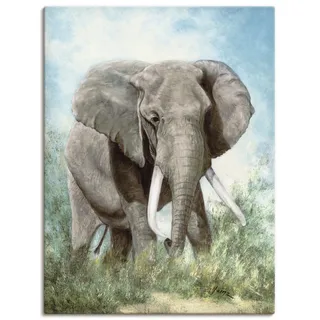 ARTland Leinwandbilder Wandbild Bild auf Leinwand 30x40 cm Tiere Elefant T4EI
