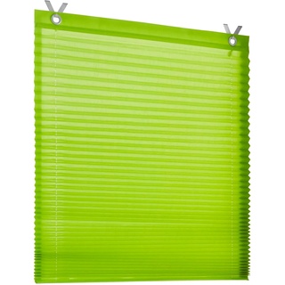 Plisseerollo HEINE HOME Raffrollos Gr. 125 cm, Ösen, 50 cm, grün Blickdichte Vorhänge