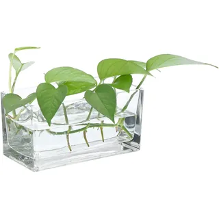 PATIKIL Rechteckige Glasvase 20x10x10 cm, 1 Stück Klarer Blumenpflanzer Terrariumbehälter Verdickter Grund für Hochzeit Zuhause Büro Dekor Party Event, Transparent
