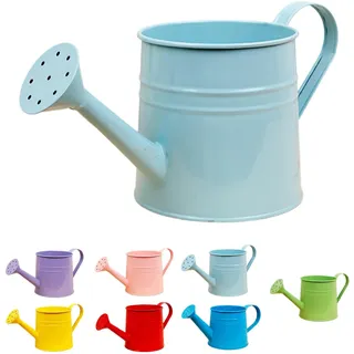 Gießkanne Klein Zimmerpflanzen 1L Kleine Gießkanne Metall Blumentopf Giesskanne Garten Balkon Watering Can Kieskanne Vintage Blumengießkanne Pflanzengießkanne Gartenwerkzeug (Hellblau)