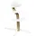 Eiche White