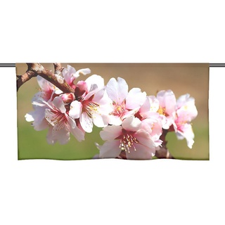 Scheibengardine Cafehausgardine Primavera rosa - Küchengardine, gardinen-for-life 60 cm x 25 cm