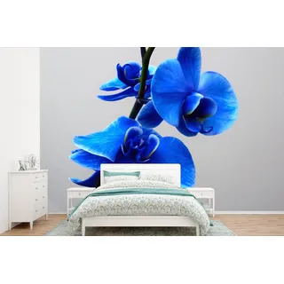 MuchoWow Fototapete Blaue Orchidee, Matt, bedruckt, Wallpaper für Wohnzimmer, Schlafzimmer, Vinyl Tapete, 420x280 cm bunt 4.2 m x 3 m