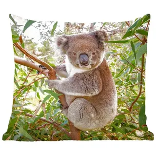 MuchoWow Dekokissen Koala - Blätter - Kinder - Jungen - Mädchen, Zierkissen mit Füllung und Bezug, Sofakissen, 45x45 cm bunt Quadratisch | 45 cm x 15 cm x 45 cm