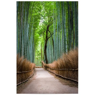 artboxONE Poster 120x80 cm Natur Natur Bambuswald in Arashiyama, Japan - Bild arashiyama Asien Bambus